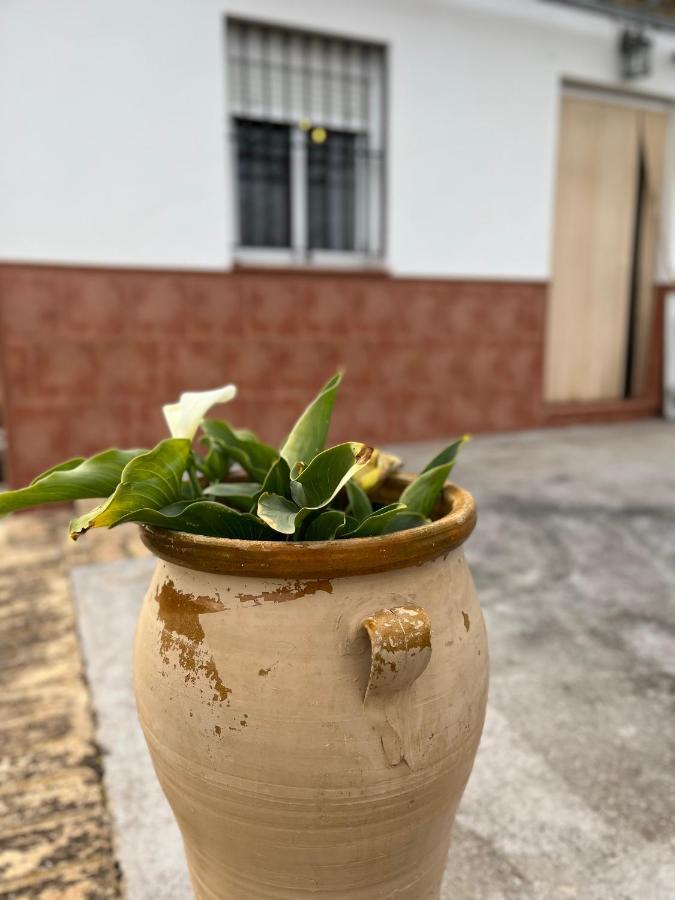 Agua De Verano San Bartolomé de la Torre Exteriér fotografie